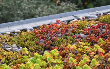 the cost of Modbury green roof installation