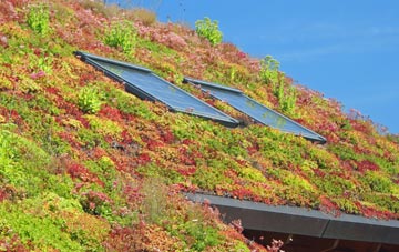 Modbury living roof systems