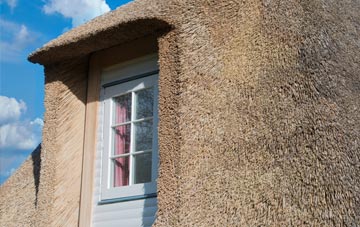 Modbury thatch roof disadvantages