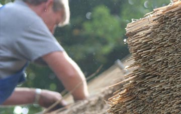 professional Modbury thatchers